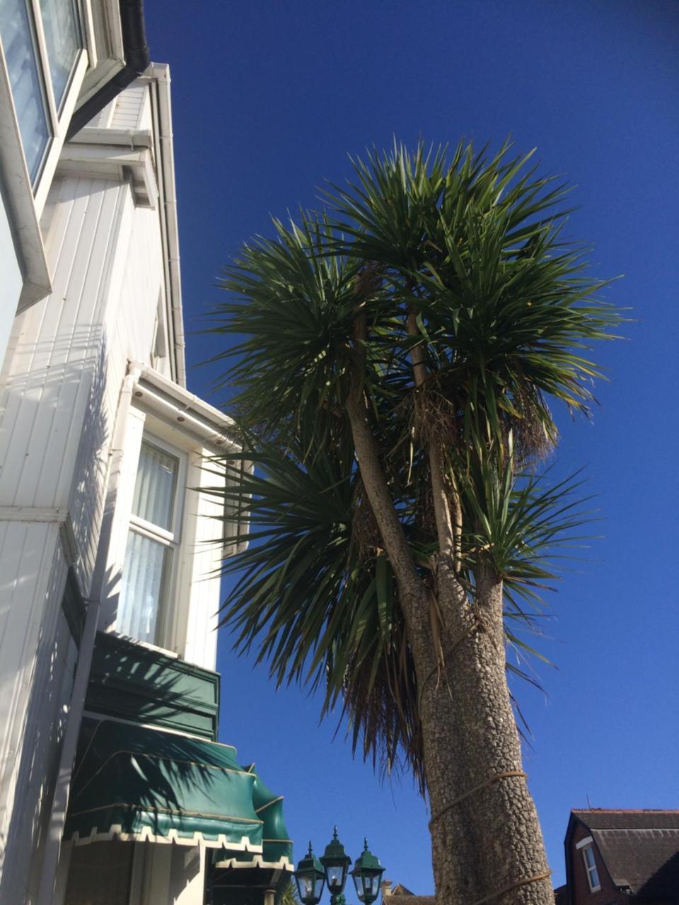 The Haldon Guest House Paignton Kültér fotó